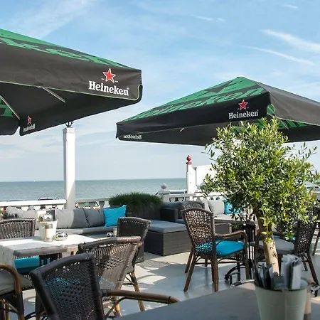 Spaander Bw Signature Collection 4*