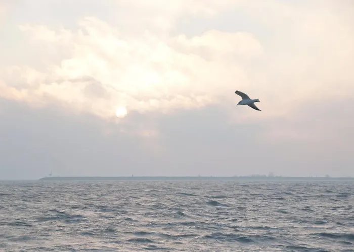 Hotel Spaander Bw Signature Collection