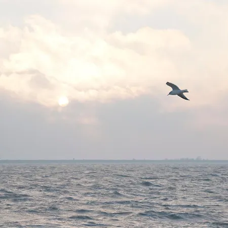 Hotell Spaander Bw Signature Collection